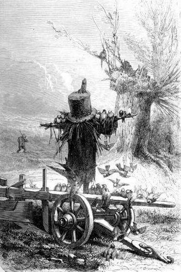 Ласточка и птички