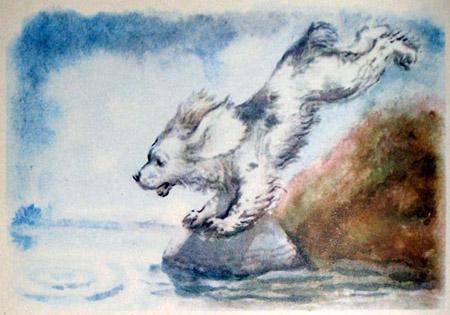 Собачонка с разбегу — бух в воду