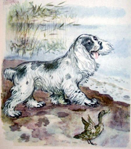 Латка и уточка