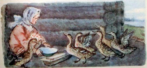  утки собрались в отлёт, им подрезали отросшие крылья — и они остались зимовать в курятнике