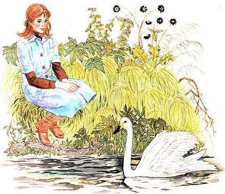 девушка на берегу и лебедь