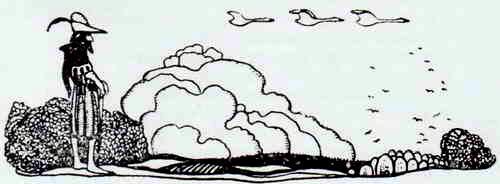 Лебединое обличье (сказка) — Вот лебеди летят! Интересно, куда они держат путь и где их дом?