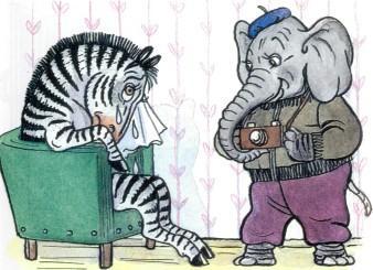 зебра плачет в кресле слон фотограф с фотоаппаратом