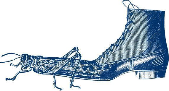 Ленты, кружева, ботинки...