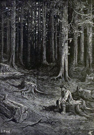 Лес и дровосек