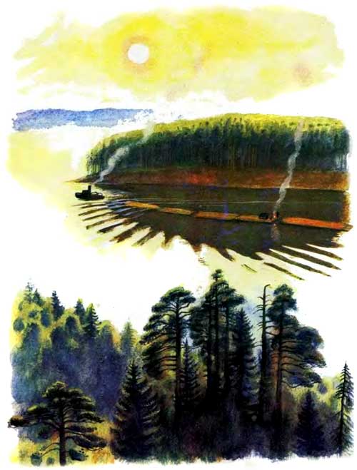 Лес и река проходик