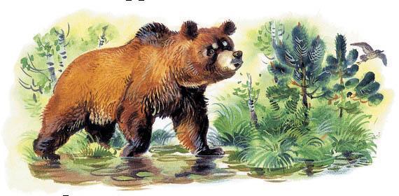 медведь