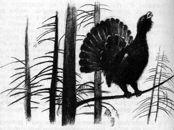 Лесник Булыга