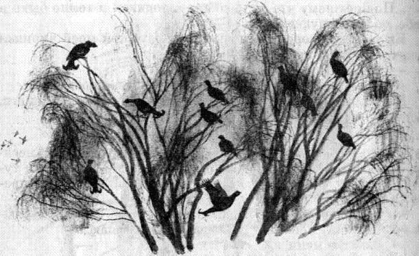 Лесник Булыга