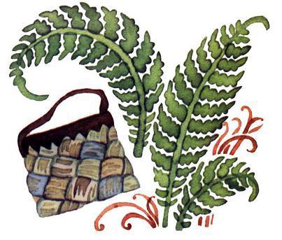 Лестой Отец и Лесная Мать (эстонская сказка) папоротник