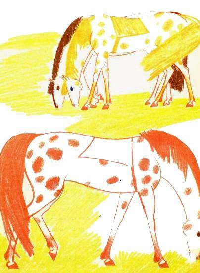 кони лошади ходят