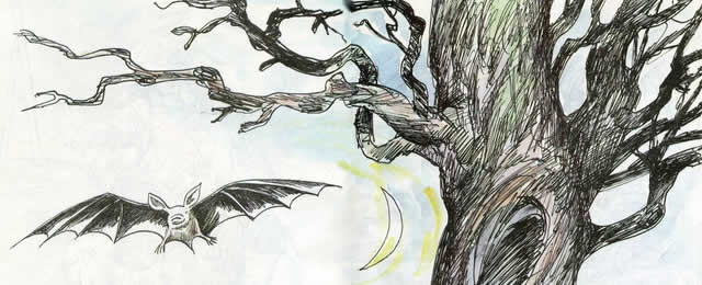 Летучая мышь