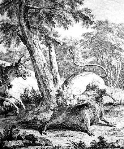 Лев и осел на охоте (басня) Лев и осел на охоте