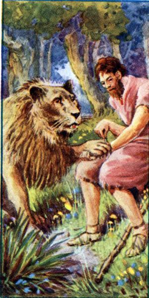Лев и пастух