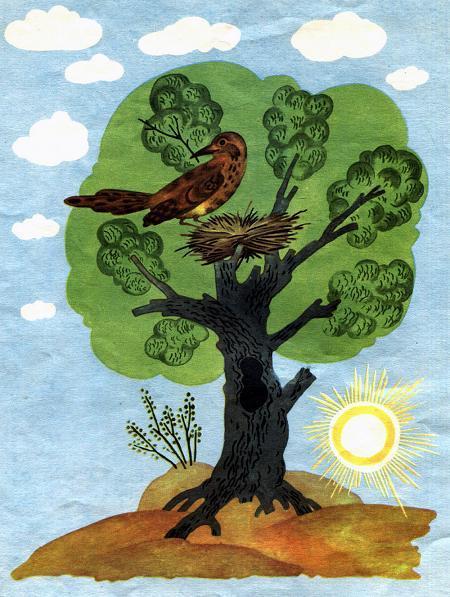 дерево, а на дереве вил гнездо дрозд