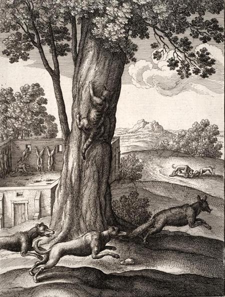 Лиса и Кот (басня) Лиса и Кот