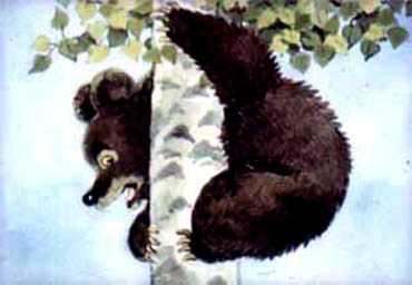 Лиса именинница (сказка) медведь на березе