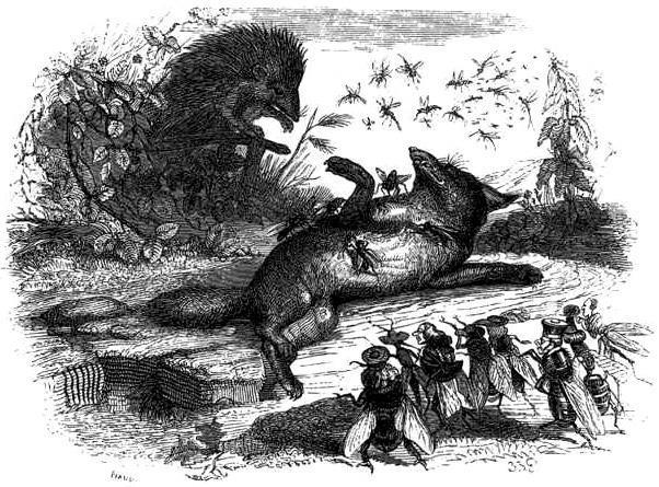 Лисица, мухи и ёж