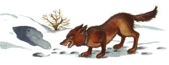 Лиса убегает от собак. Охота с борзыми собаками. Лиса убегает от собак. Собака лиса. Лиса бежит.