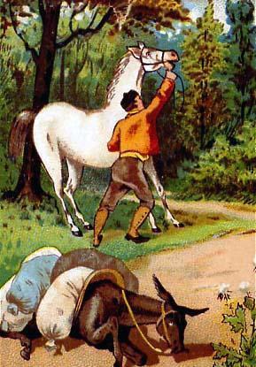 Лошадь и осел