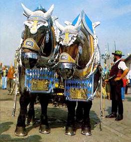 Тяжеловозы невозмутимо тянут фуры, груженные бочками с пивом.