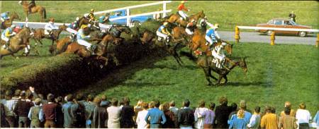 Участвуя в скачках с препятствиями, лошади должны преодолевать зеленые изгороди, барьеры, рвы с водой.