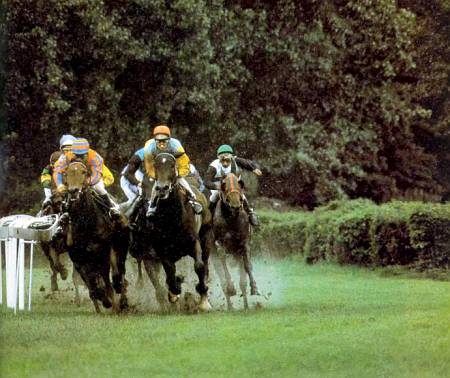 На скачках все зависит от скорости галопа.