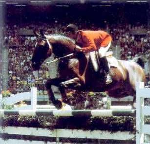 Жокей Альвин Шокемёле на Варвик-Рексе.