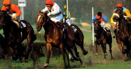  как изменислась посадка всадника