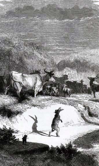 Львиный указ