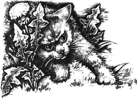 Магнус-Супермыш (сказка Дика Кинга-Смита) Магнус-Супермыш