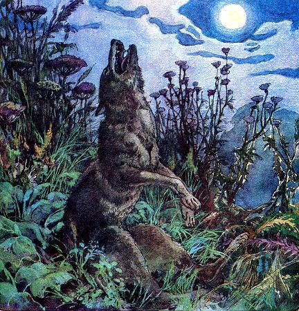 волк воет Совсем волк отощал, пришлось пропадать с голоду