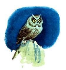 Маленькая принцесса (повесть) Маленькая принцесса