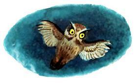 Маленькая принцесса (повесть) Маленькая принцесса