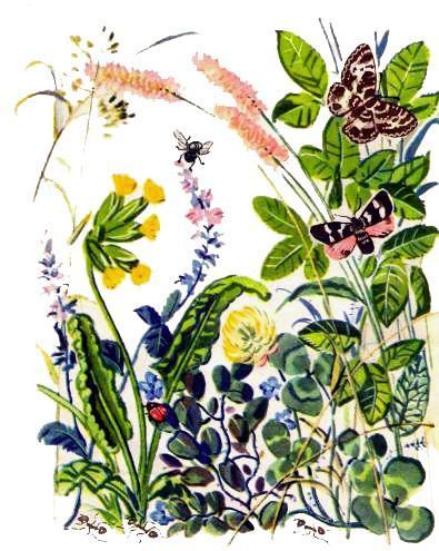 Маленькие сказки про Мушонка и других лесных малышей