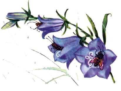 Маленькие сказки про Мушонка и других лесных малышей (сказки) Маленькие сказки про Мушонка и других лесных малышей