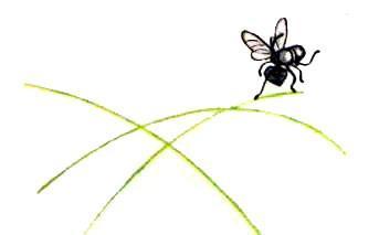 Маленькие сказки про Мушонка и других лесных малышей (сказки) Маленькие сказки про Мушонка и других лесных малышей