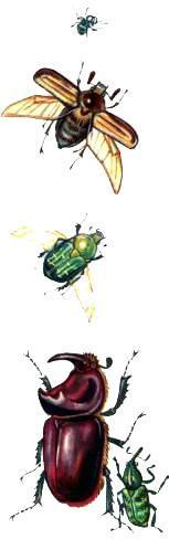 Маленькие сказки про Мушонка и других лесных малышей