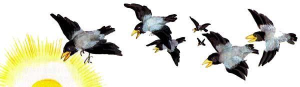 Маленькое привидение (сказка) вороны