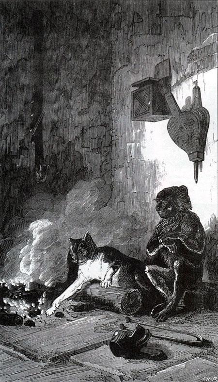 Мартышка и кот (басня) Мартышка и кот