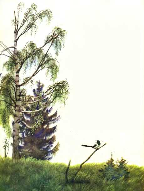 Маша и медведь (русская сказка) береза