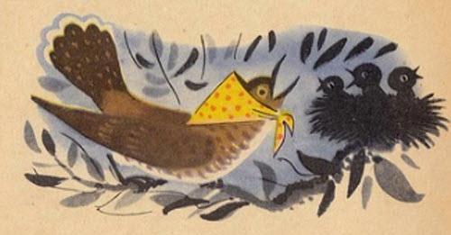 Мать-мачеха кукушка у гнезда