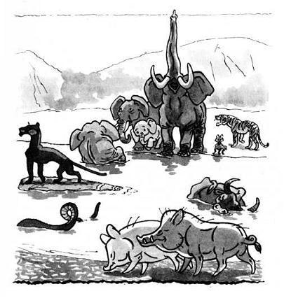 Маугли (повесть) звери на водопое