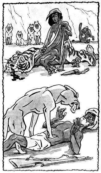 Маугли (повесть) Маугли снимает шкуру с Шер-хана Акела