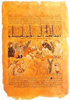 Сбор лечебных растений (страница из арабского медицинского трактата).