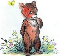 медвежонок бабочка