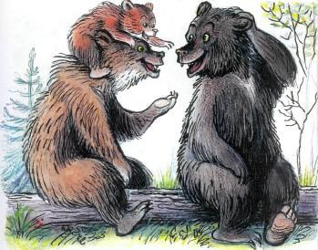 медведи медвежонок родители