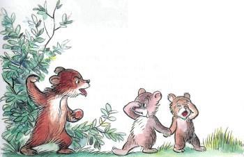 медвежата обида 