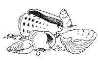 Мемуары папы Муми-тролля (сказка-повесть) папа Муми-тролль