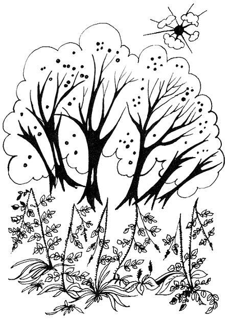 Мэри Поппинс и соседний дом